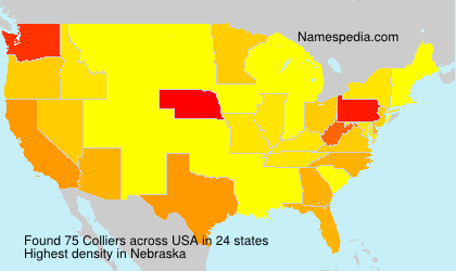Surname Colliers in USA Surname Colliers in USA