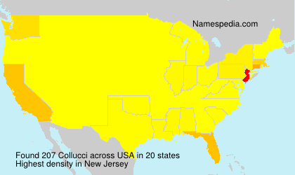 Surname Collucci in USA Surname Collucci in USA