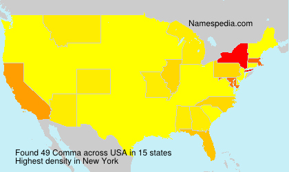 Surname Comma in USA Surname Comma in USA
