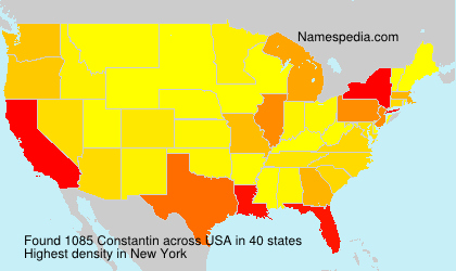 Surname Constantin in USA Surname Constantin in USA