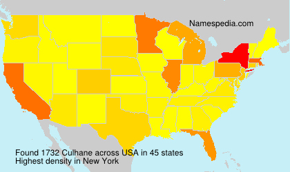 Surname Culhane in USA Surname Culhane in USA