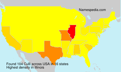 Surname Culli in USA Surname Culli in USA