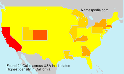 Surname Cullie in USA Surname Cullie in USA