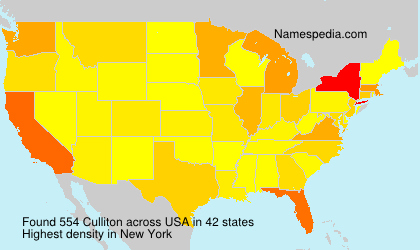 Surname Culliton in USA Surname Culliton in USA