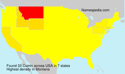 Surname Cumin in USA Surname Cumin in USA
