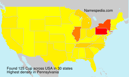Surname Cup in USA Surname Cup in USA