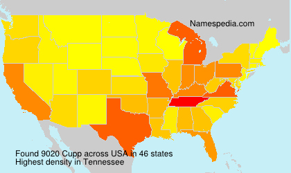 Cupp Cupp