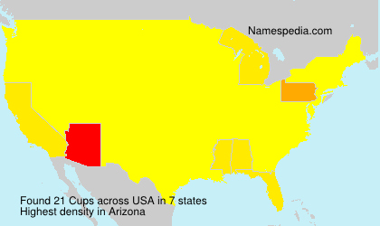 Surname Cups in USA Surname Cups in USA
