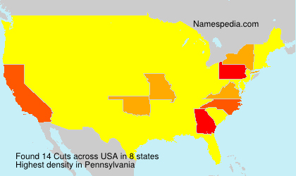 Surname Cuts in USA Surname Cuts in USA