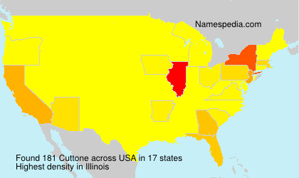 Surname Cuttone in USA