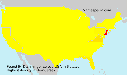 Surname Damminger in USA Surname Damminger in USA