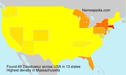 Surname Davidowicz in USA Surname Davidowicz in USA