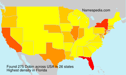 Surname Dobin in USA Surname Dobin in USA