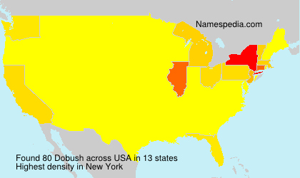 Surname Dobush in USA Surname Dobush in USA