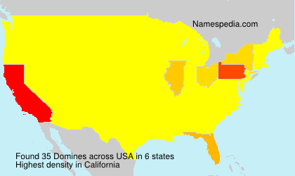 Surname Domines in USA Surname Domines in USA