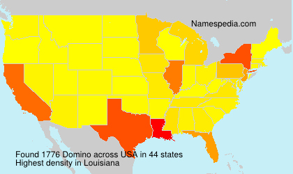 Surname Domino in USA