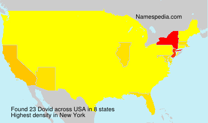 Surname Dovid in USA