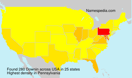 Surname Downin in USA Surname Downin in USA