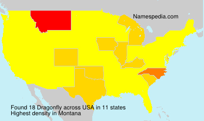 Surname Dragonfly in USA Surname Dragonfly in USA