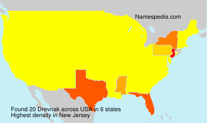 Surname Drevnak in USA
