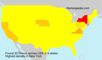 Surname Drincic in USA