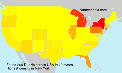 Surname Dudzic in USA Surname Dudzic in USA