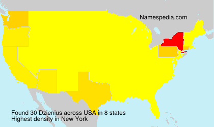 Surname Dzienius in USA