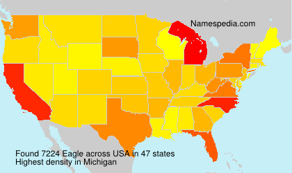 Surname Eagle in USA Surname Eagle in USA
