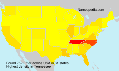 Surname Effler in USA