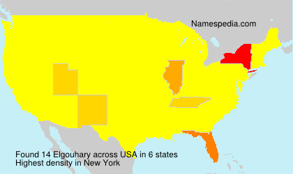 Elgouhary Elgouhary