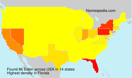 Surname Esbin in USA