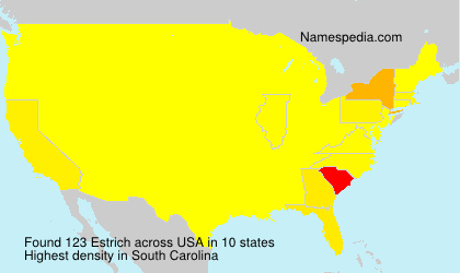 Surname Estrich in USA Surname Estrich in USA