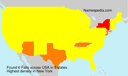 Surname Falts in USA Surname Falts in USA