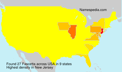 Fascetta Fascetta