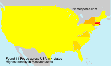 Surname Feddo in USA