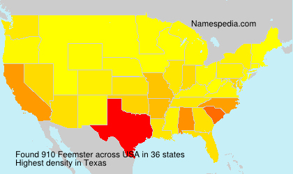 Surname Feemster in USA Surname Feemster in USA