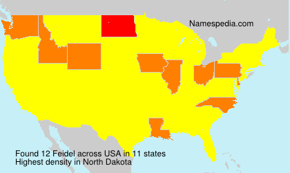 Surname Feidel in USA Surname Feidel in USA