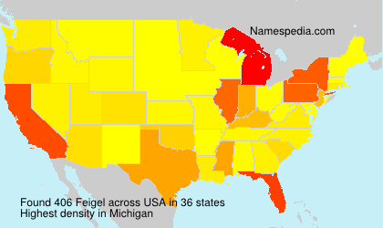 Surname Feigel in USA Surname Feigel in USA