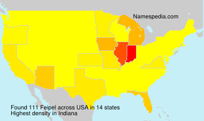 Surname Feipel in USA Surname Feipel in USA