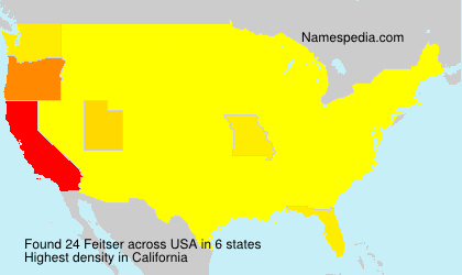 Surname Feitser in USA Surname Feitser in USA