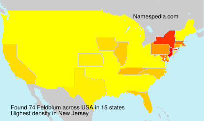 Surname Feldblum in USA Surname Feldblum in USA