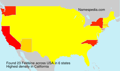 Surname Feldsine in USA Surname Feldsine in USA