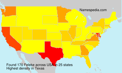 Feleke Feleke