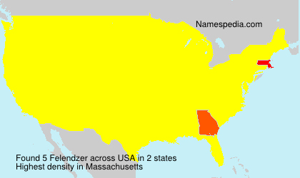 Surname Felendzer in USA