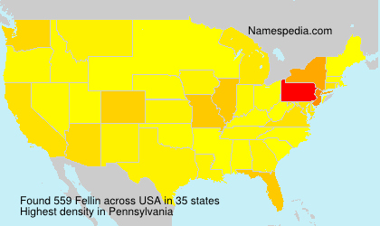 Fellin Fellin