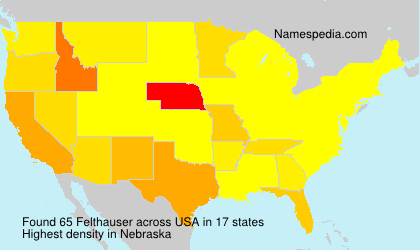 Surname Felthauser in USA Surname Felthauser in USA