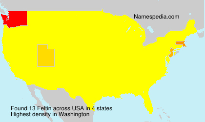 Surname Feltin in USA Surname Feltin in USA