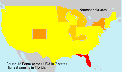 Surname Fema in USA