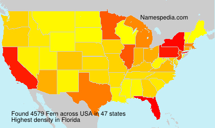 Surname Fern in USA Surname Fern in USA