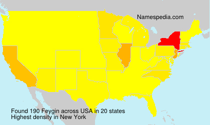 Surname Feygin in USA Surname Feygin in USA